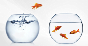 BehaviourChange_Texavi